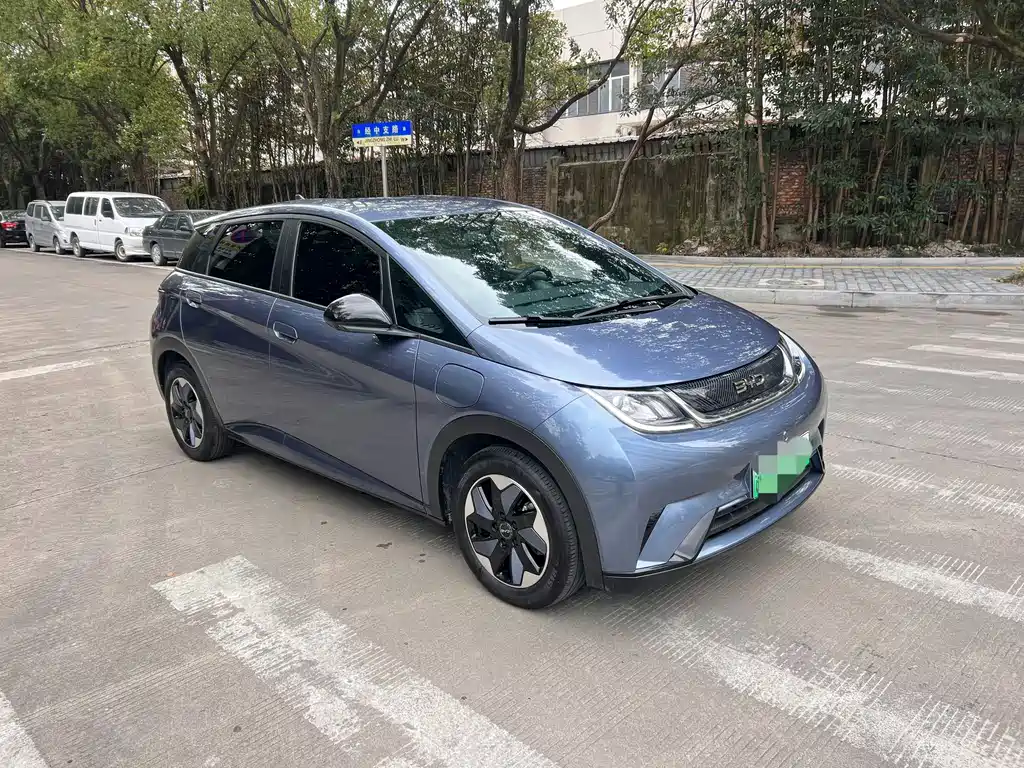 BYD Dolphin 2025