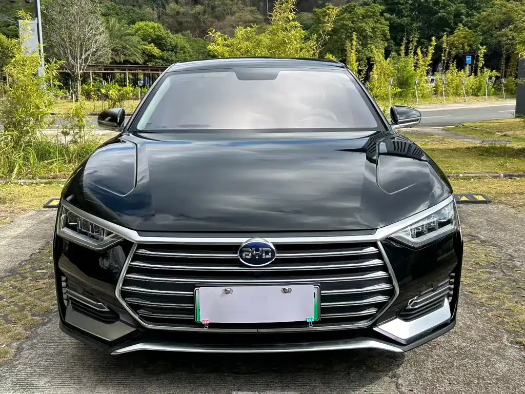 BYD E9 2021