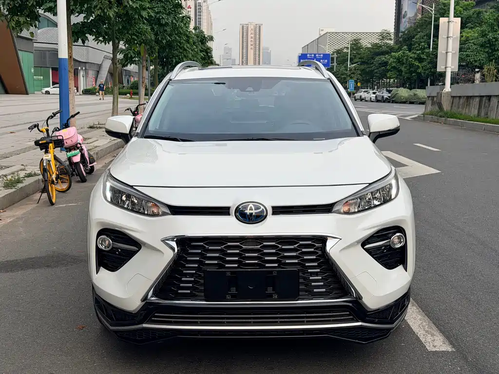 Toyota Wildlander 2021