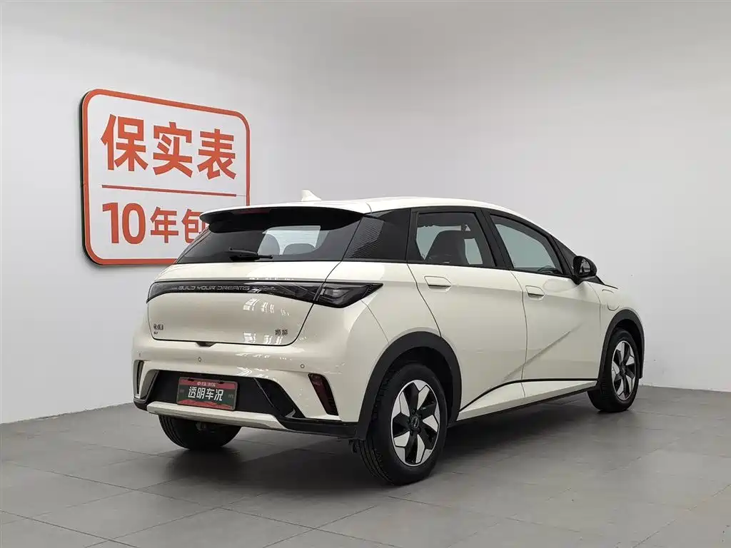 BYD Dolphin 2024