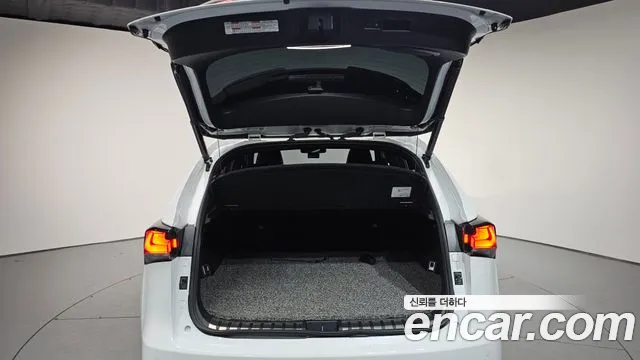 Lexus NX 2020