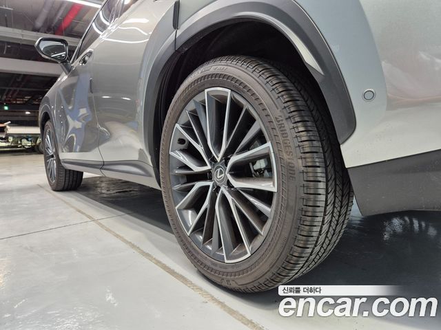 Lexus NX 2024