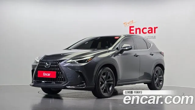 Lexus NX 2024