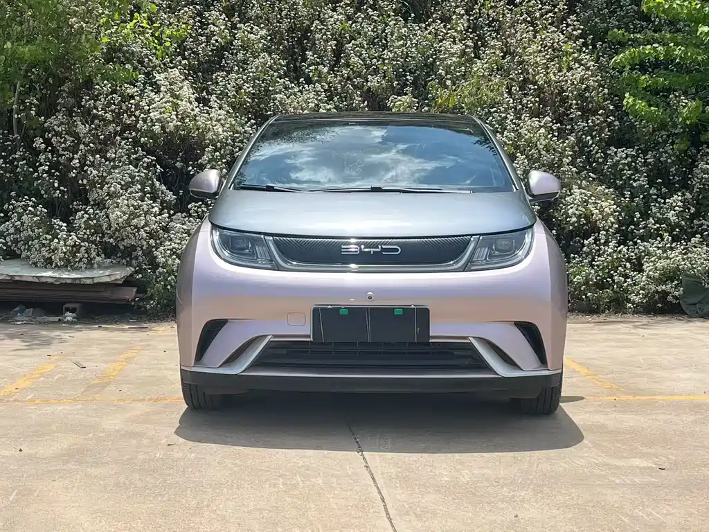BYD Dolphin 2022