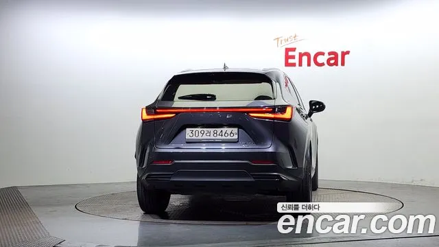 Lexus NX 2022
