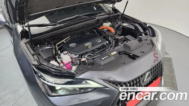 Lexus NX 2023