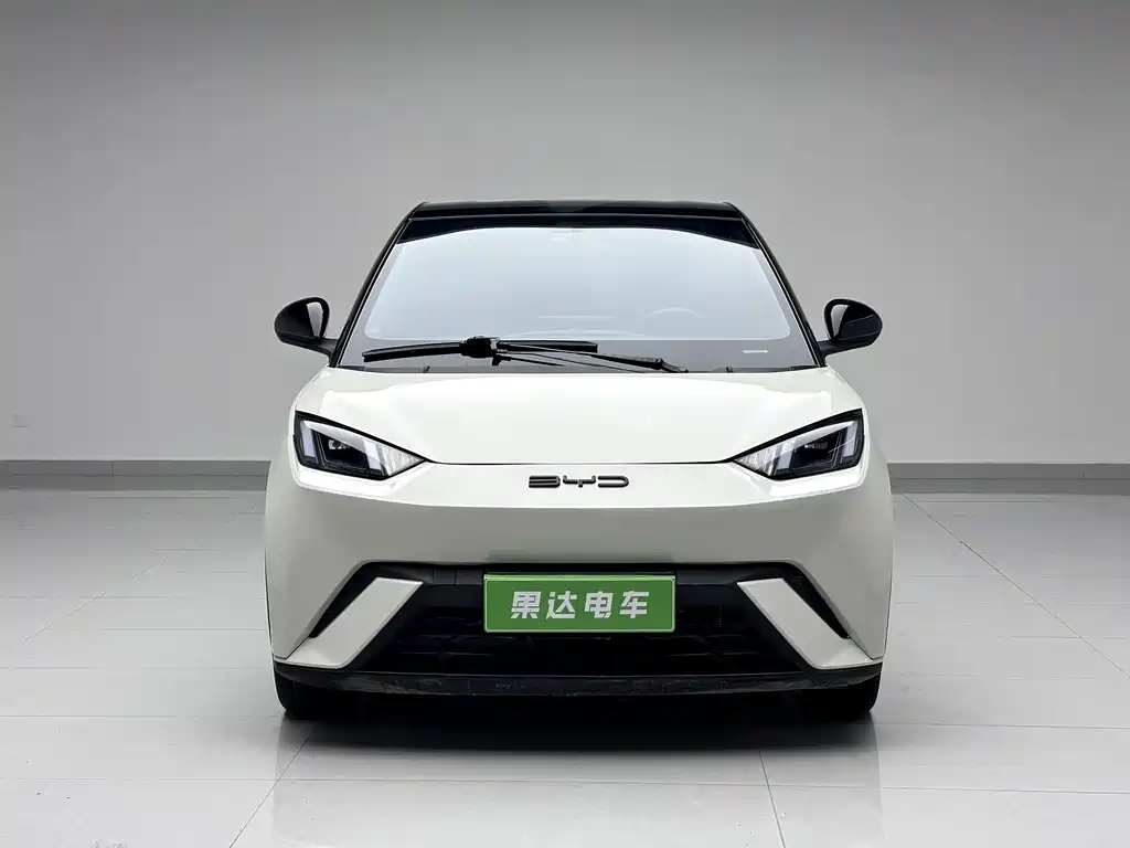 BYD Seagull 2024