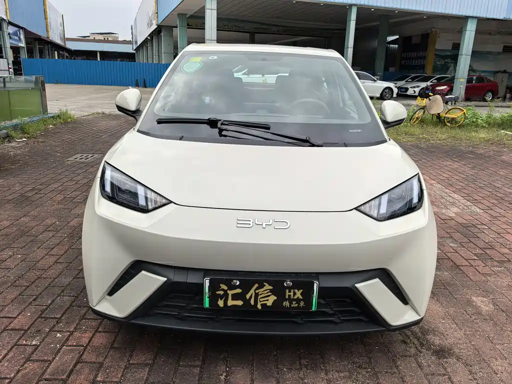 BYD Seagull 2024