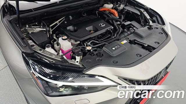 Lexus NX 2023