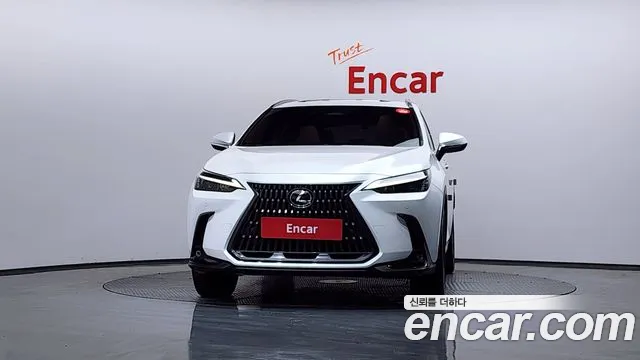 Lexus NX 2024