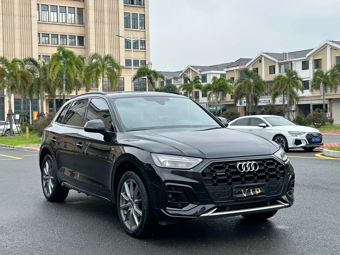 Audi Q5 2025