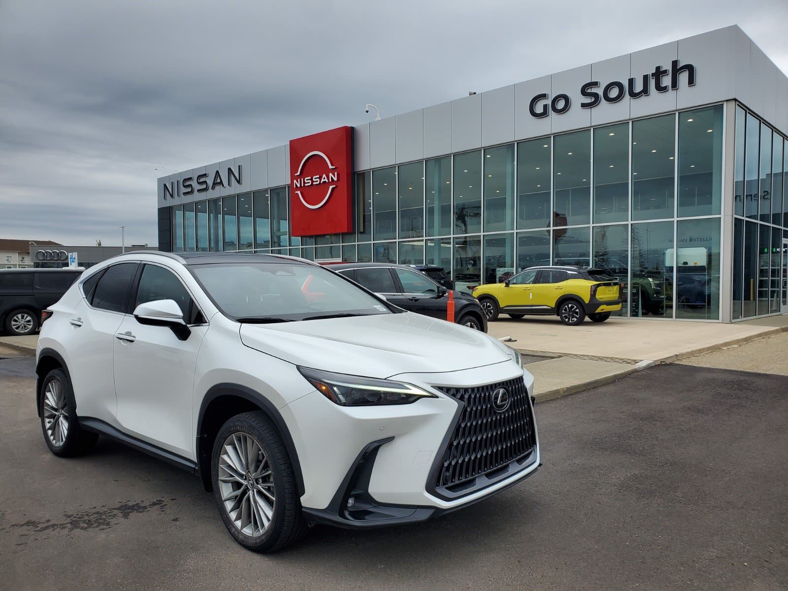 Lexus NX 2022