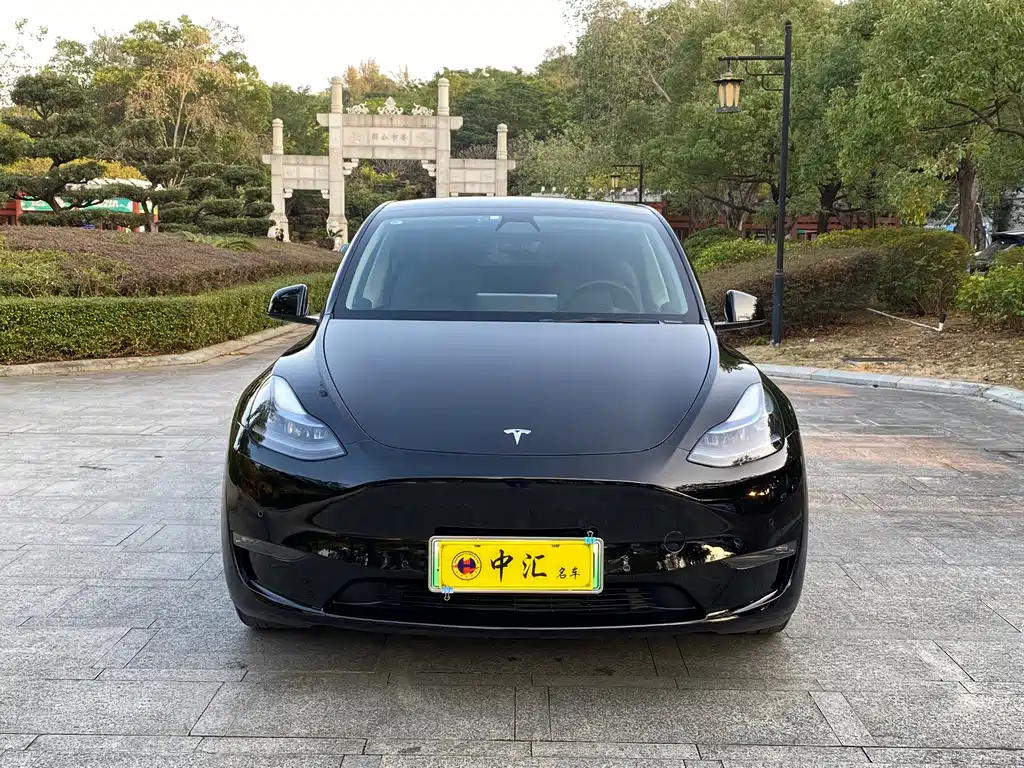 Tesla Model Y 2021