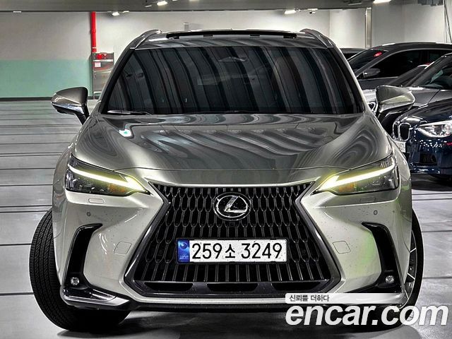 Lexus NX 2023