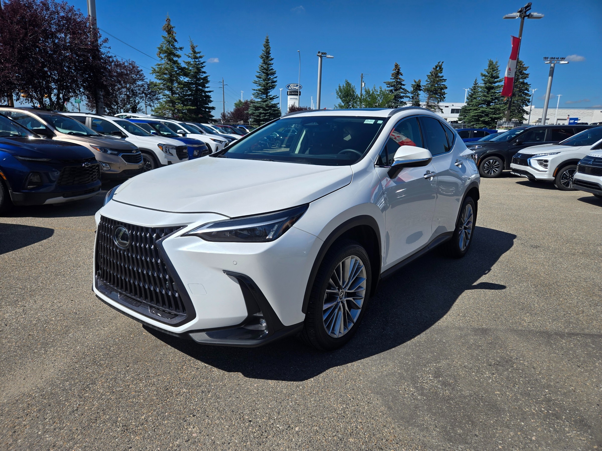 Lexus NX 350 2022