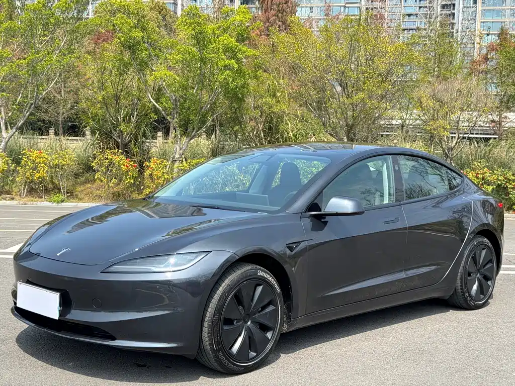 Tesla Model 3 2025
