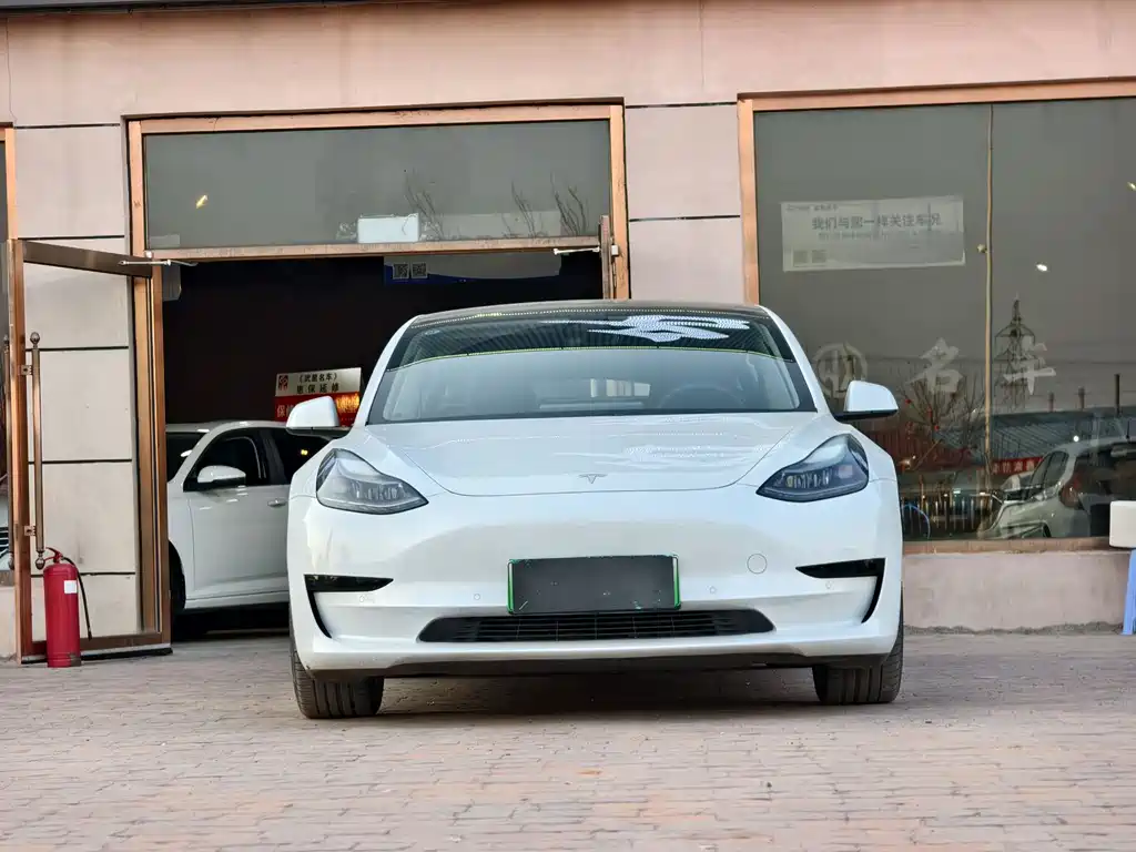 Tesla Model 3 2021