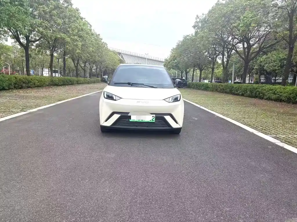 BYD Seagull 2024