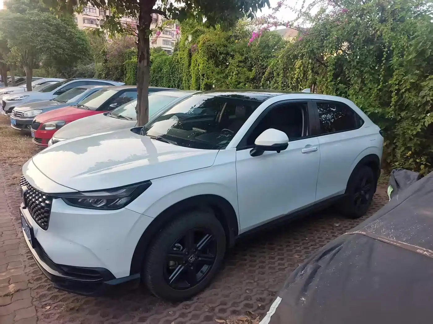 Honda XR-V 2023