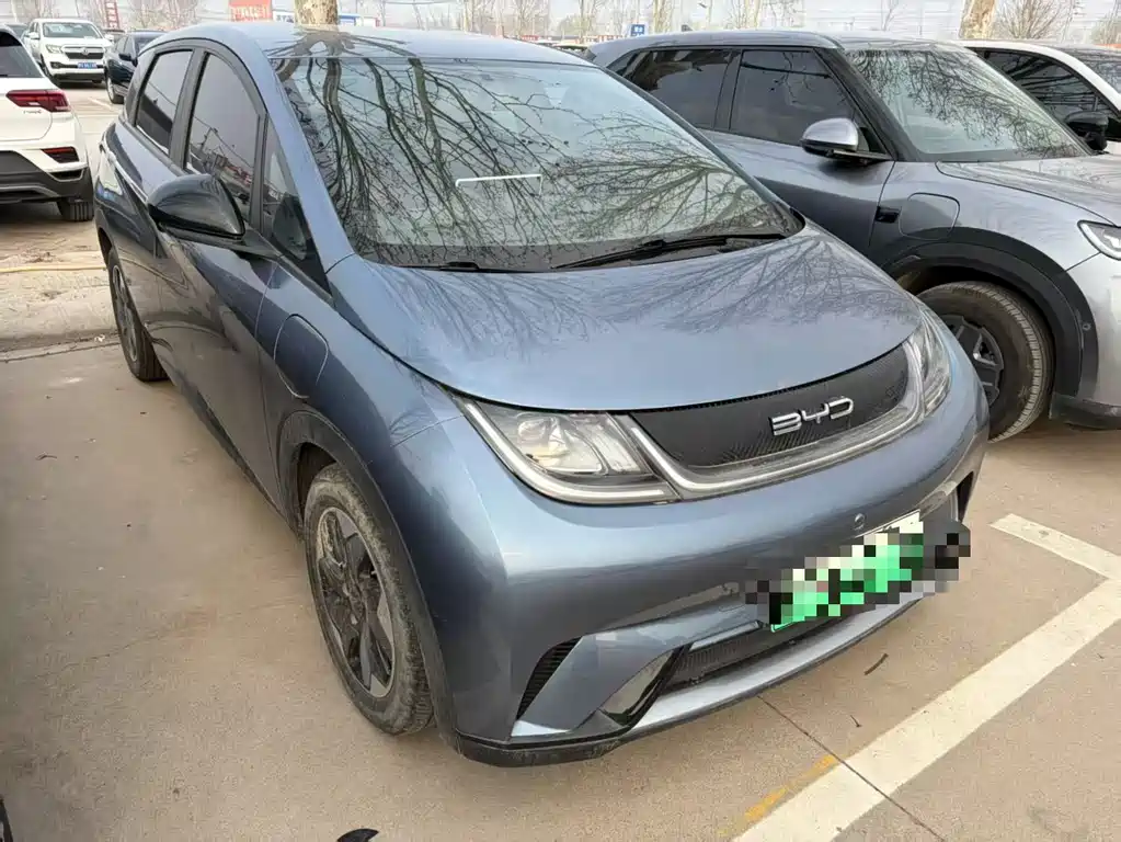 BYD Dolphin 2024