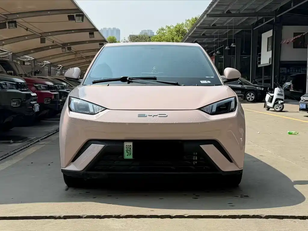 BYD Seagull 2024