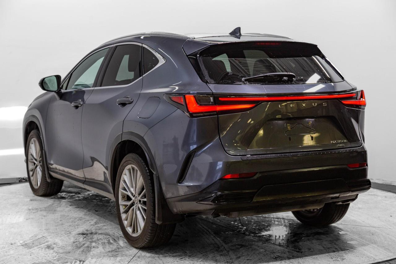 Lexus NX 2022