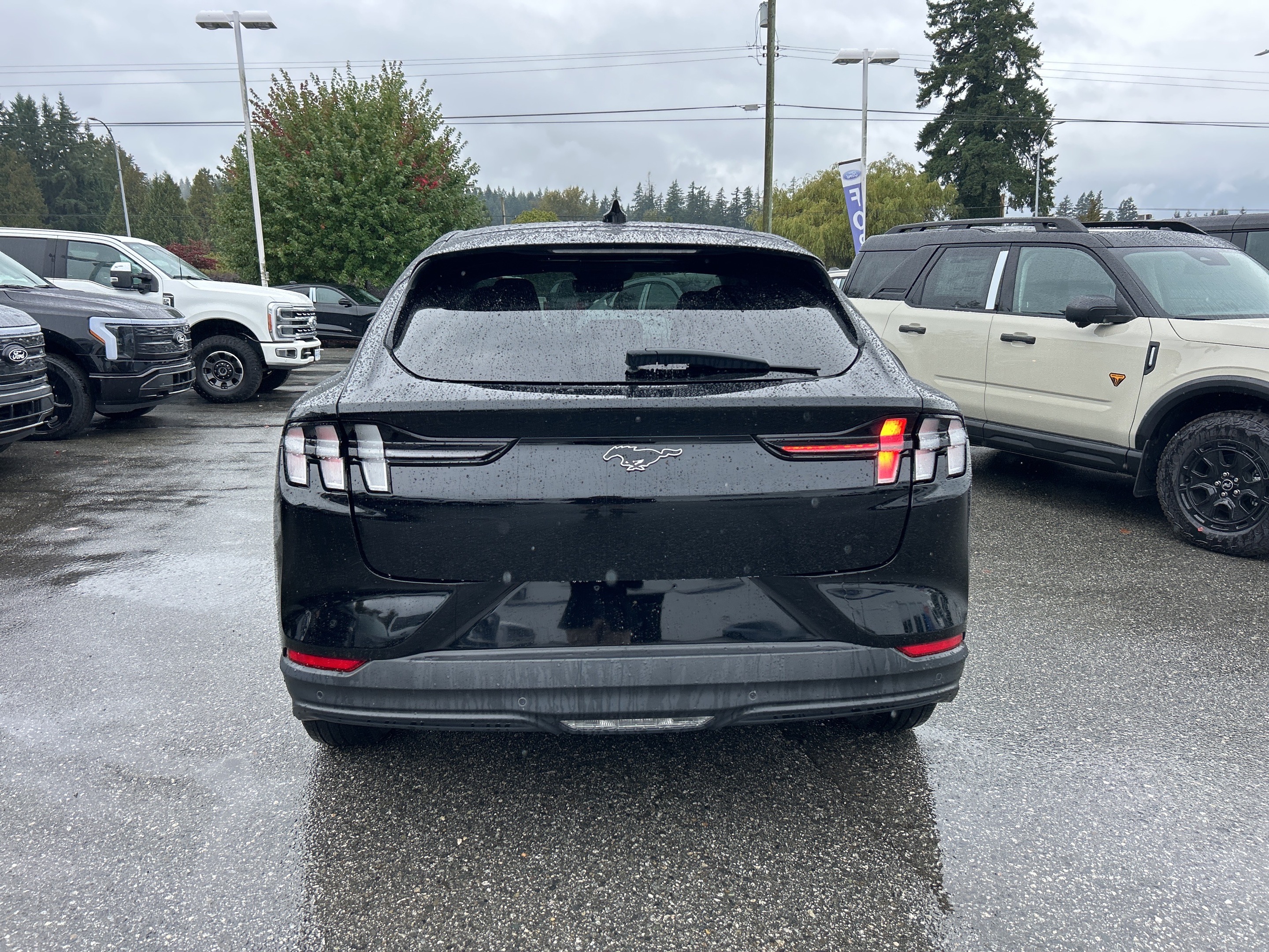 Ford Mustang Mach-E 2021
