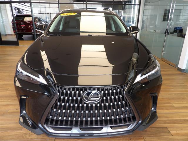 Lexus NX 2024