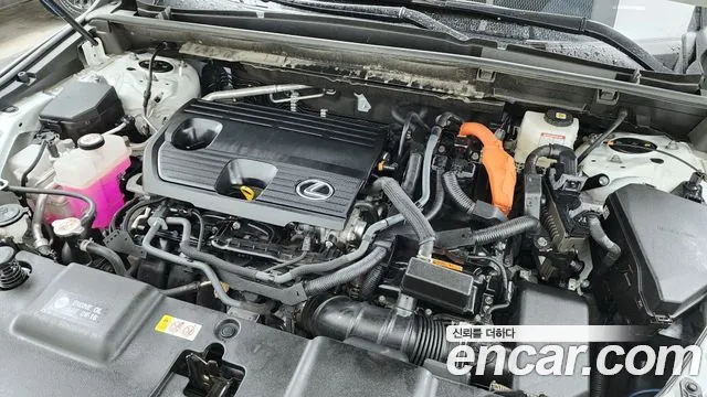 Lexus NX 2024