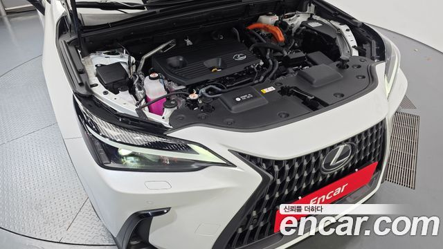 Lexus NX 2024