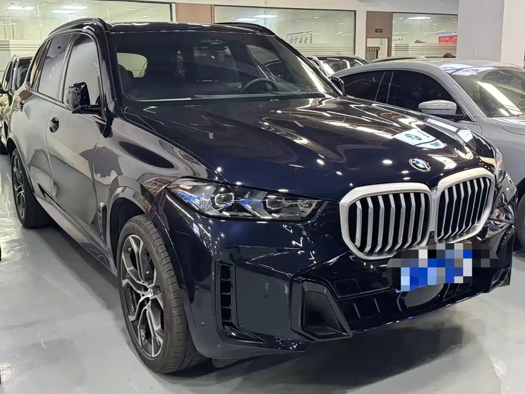 BMW X5 2024