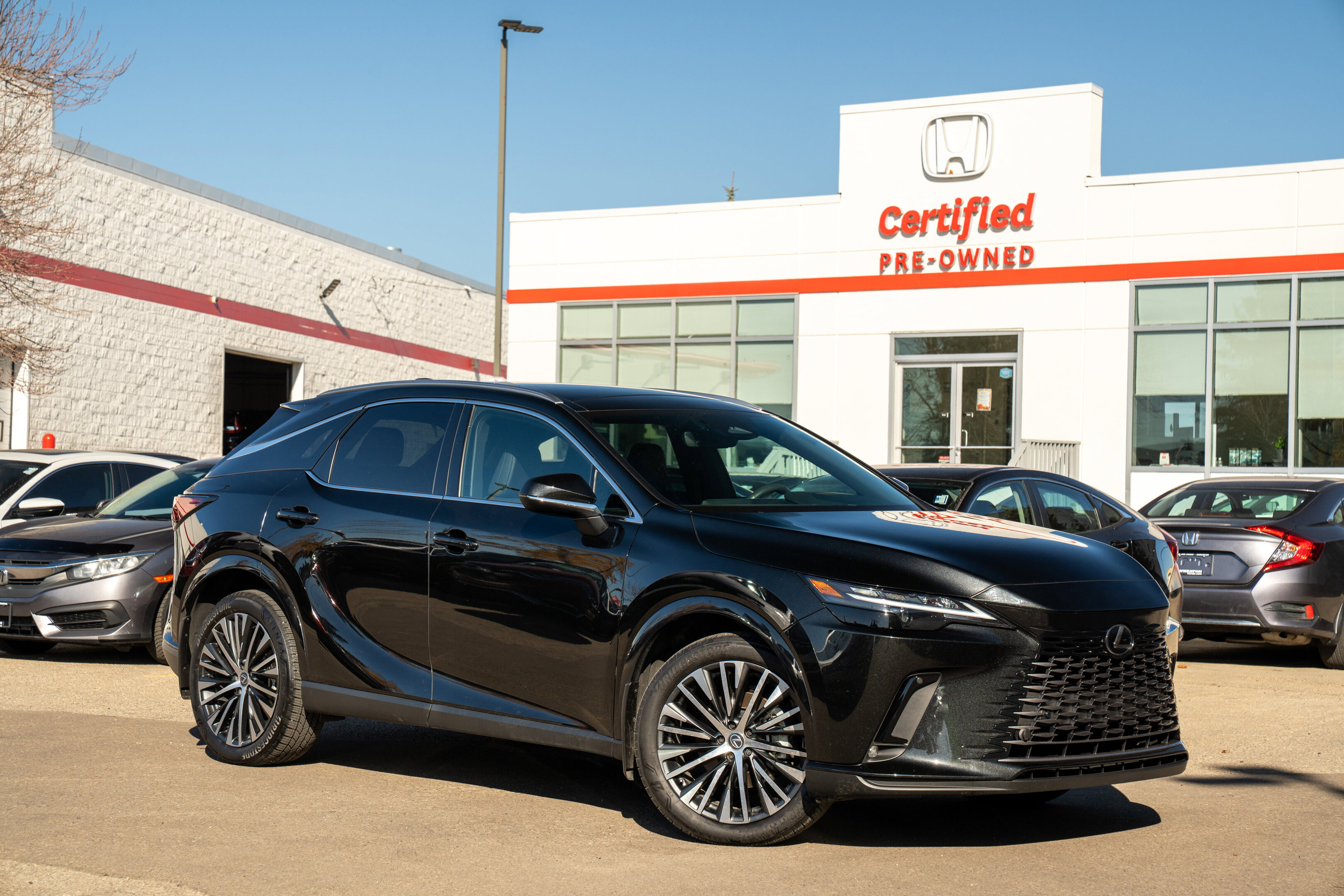 Lexus RX 2024