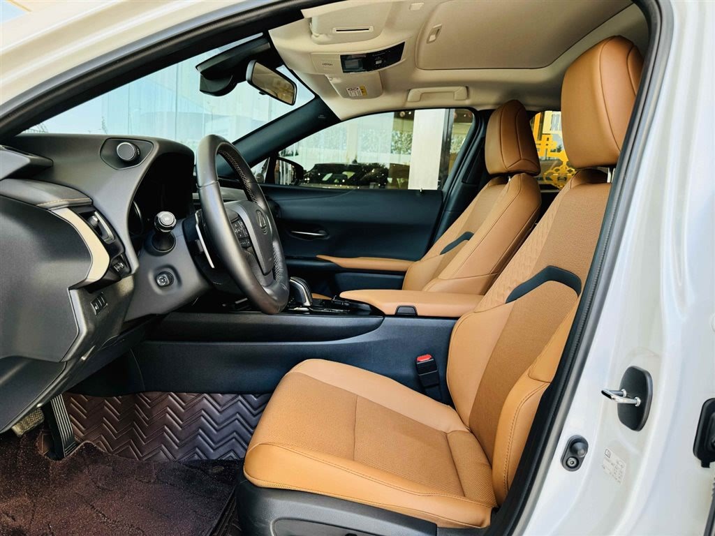 Lexus UX 2022