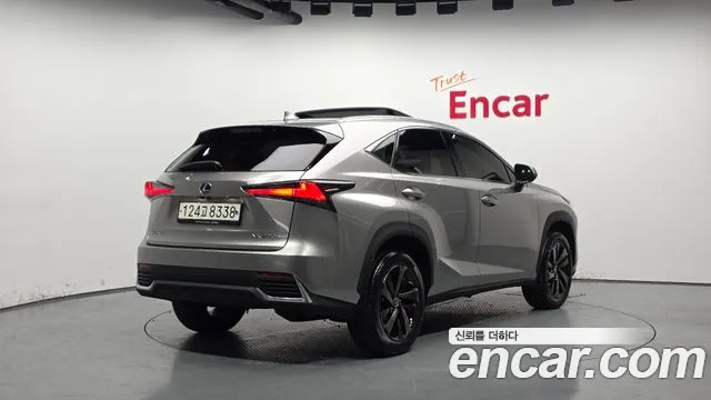 Lexus NX 2020