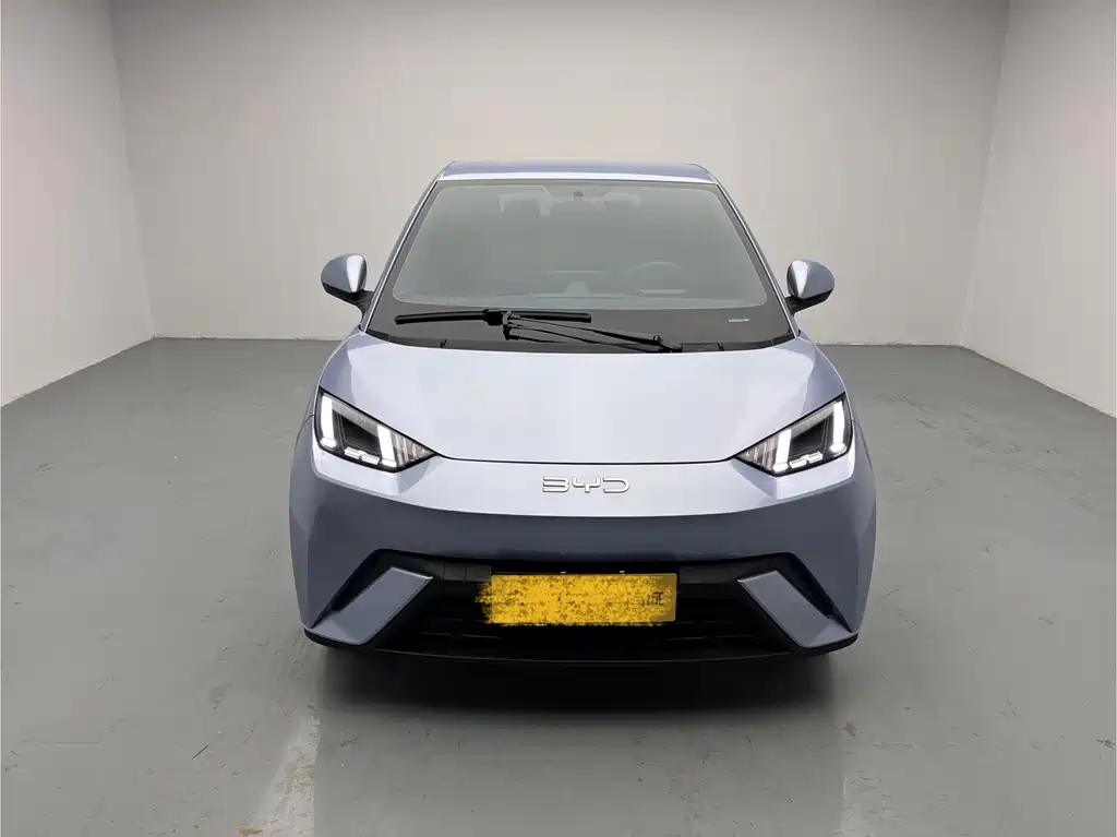 BYD Seagull 2024