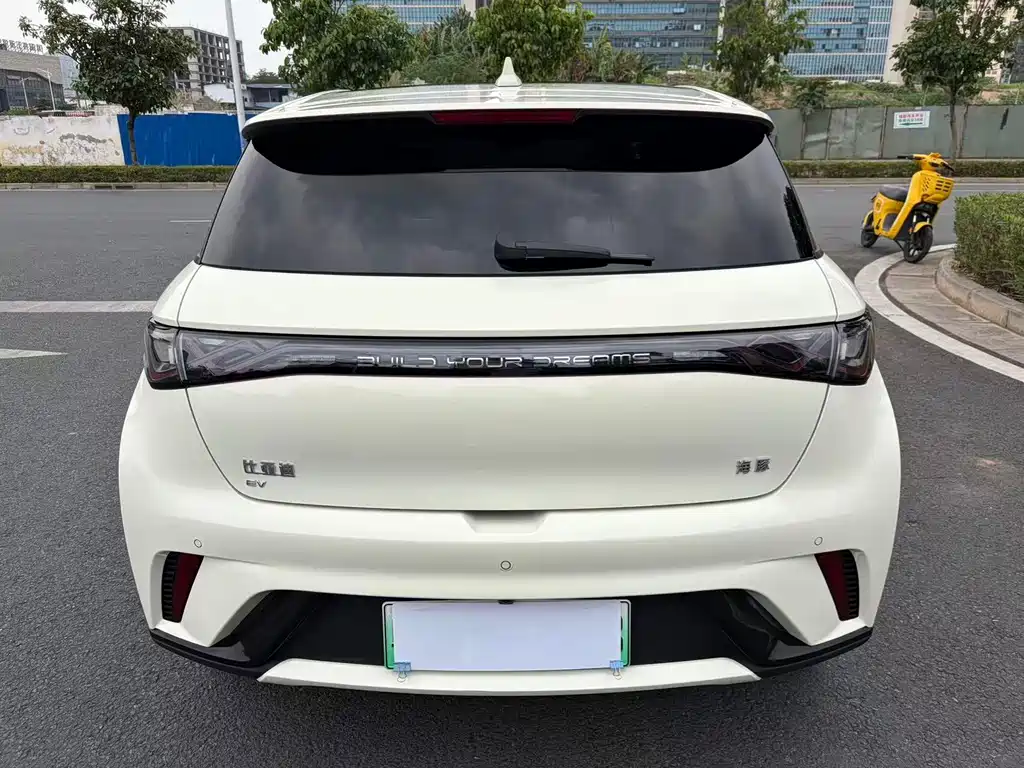 BYD Dolphin 2024