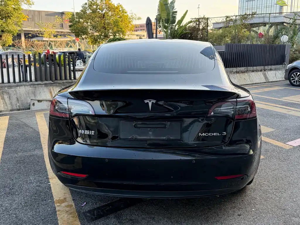 Tesla Model 3 2020