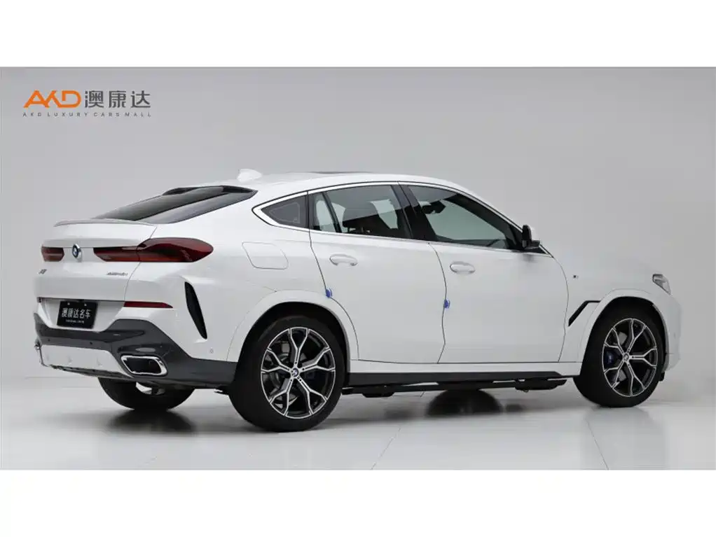 BMW X6 2021