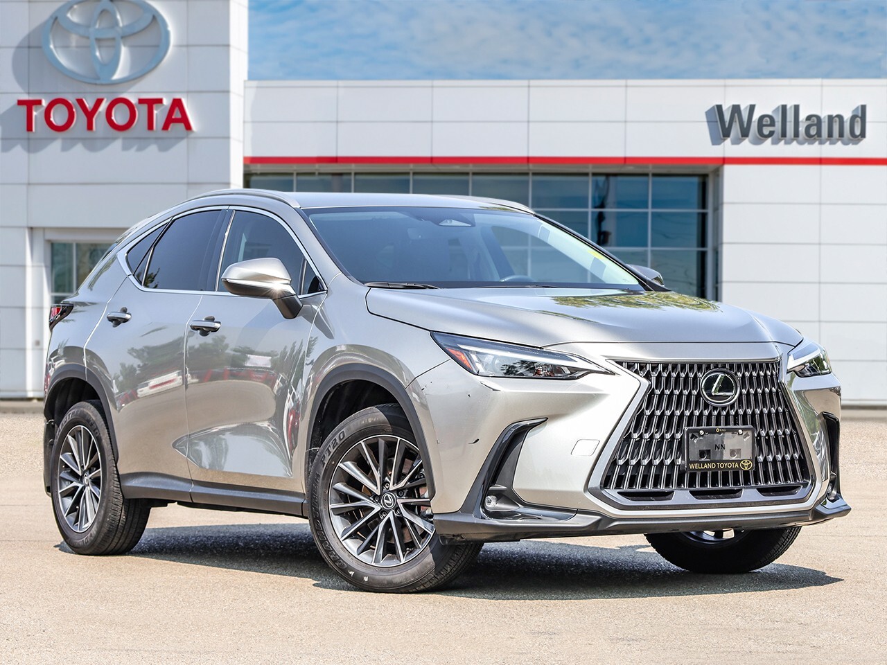 Lexus NX 2024