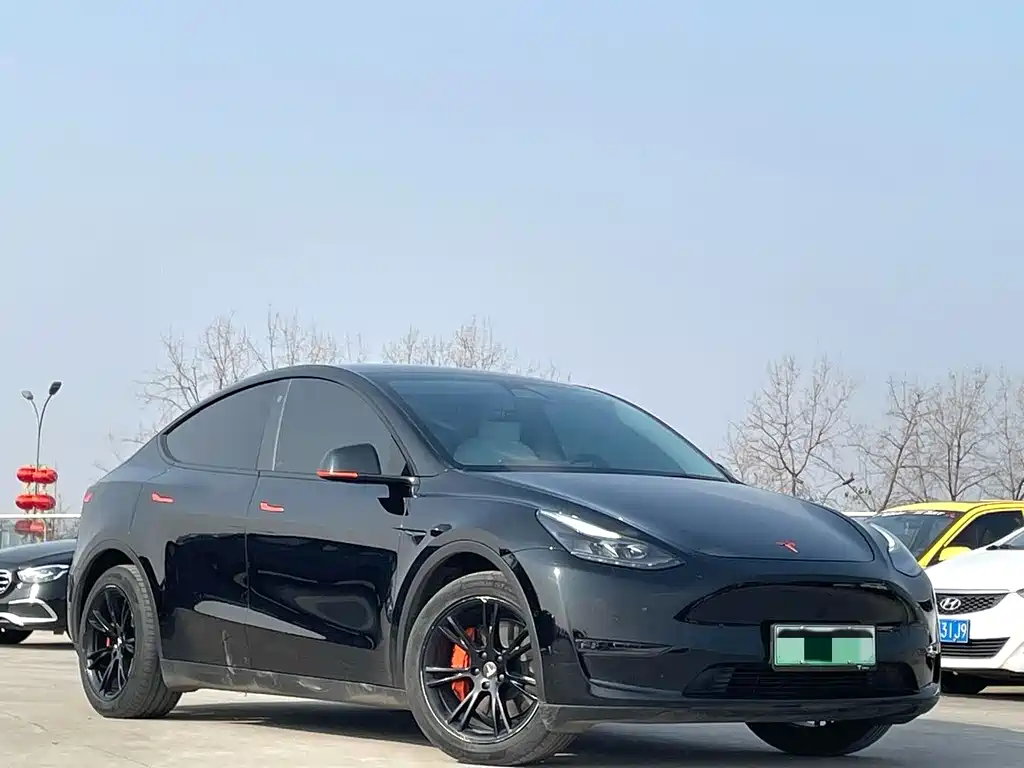 Tesla Model Y 2021