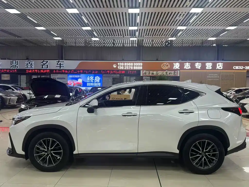 Lexus NX 2022