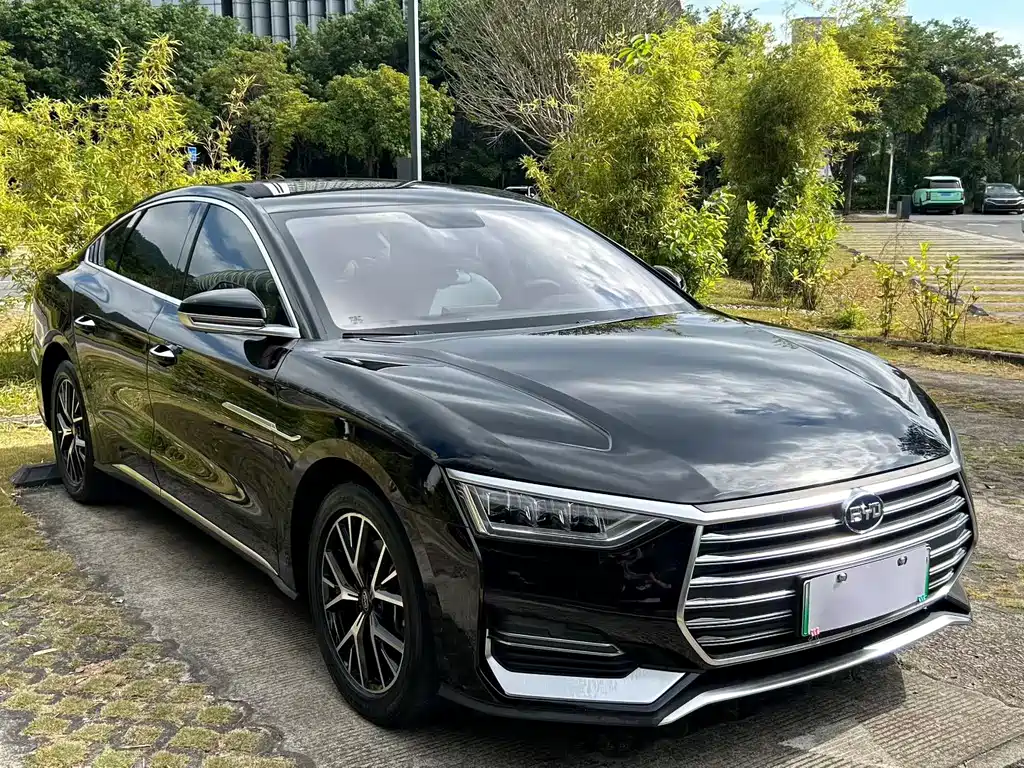 BYD E9 2021