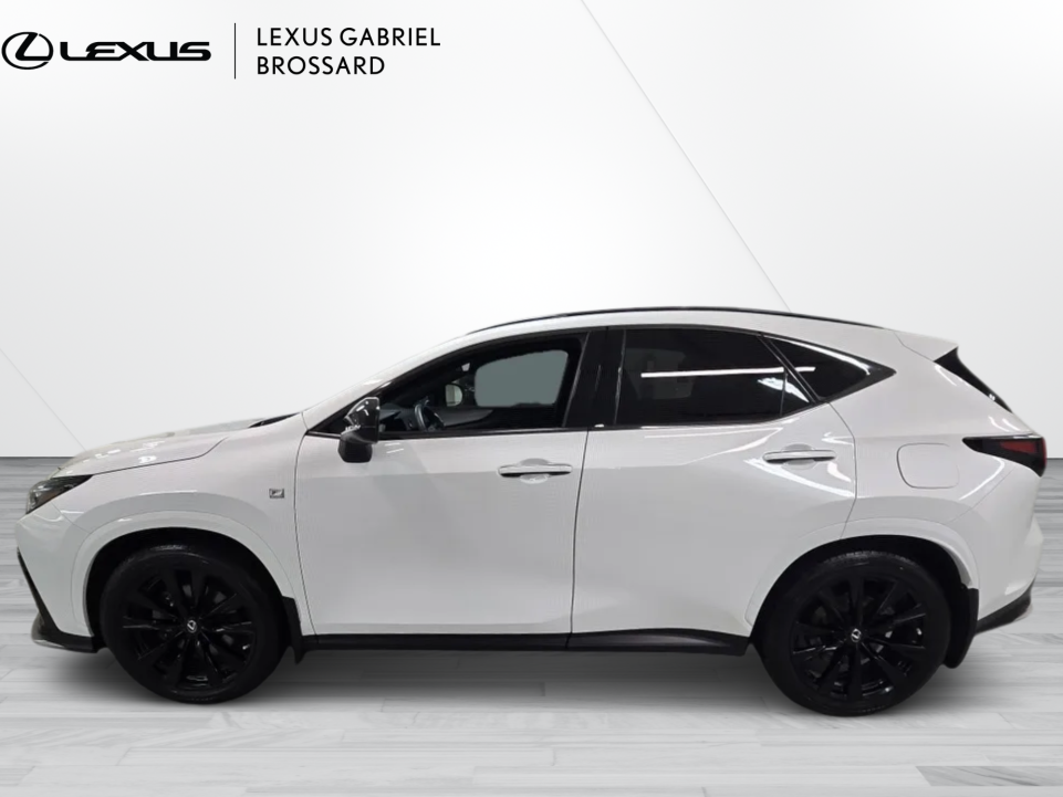 Lexus NX 350 2022