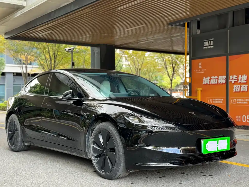 Tesla Model 3 2024