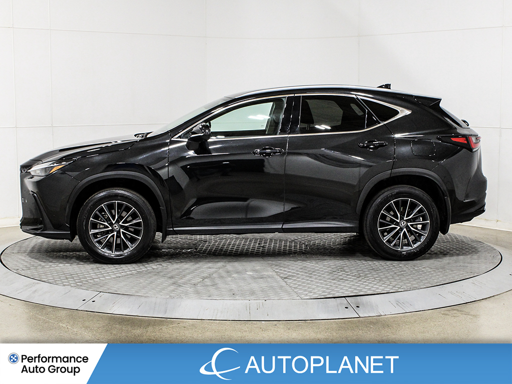 Lexus NX 2024