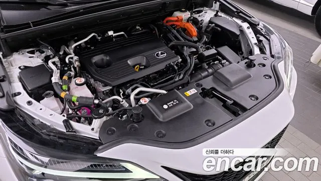 Lexus NX 2023