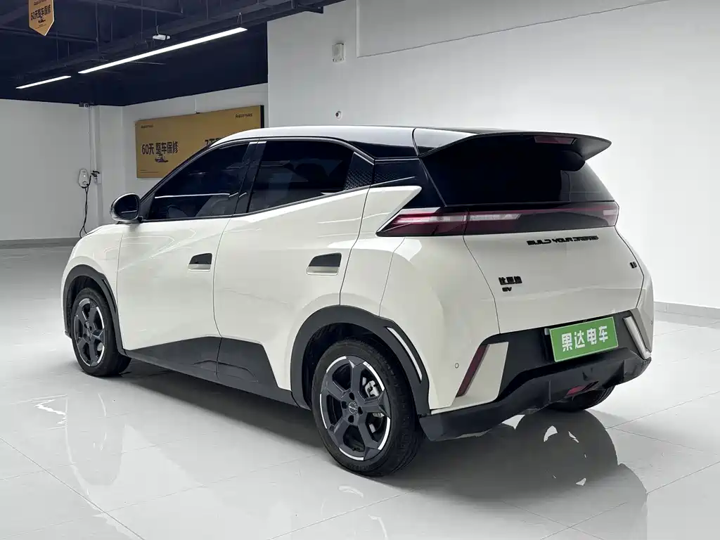 BYD Seagull 2024