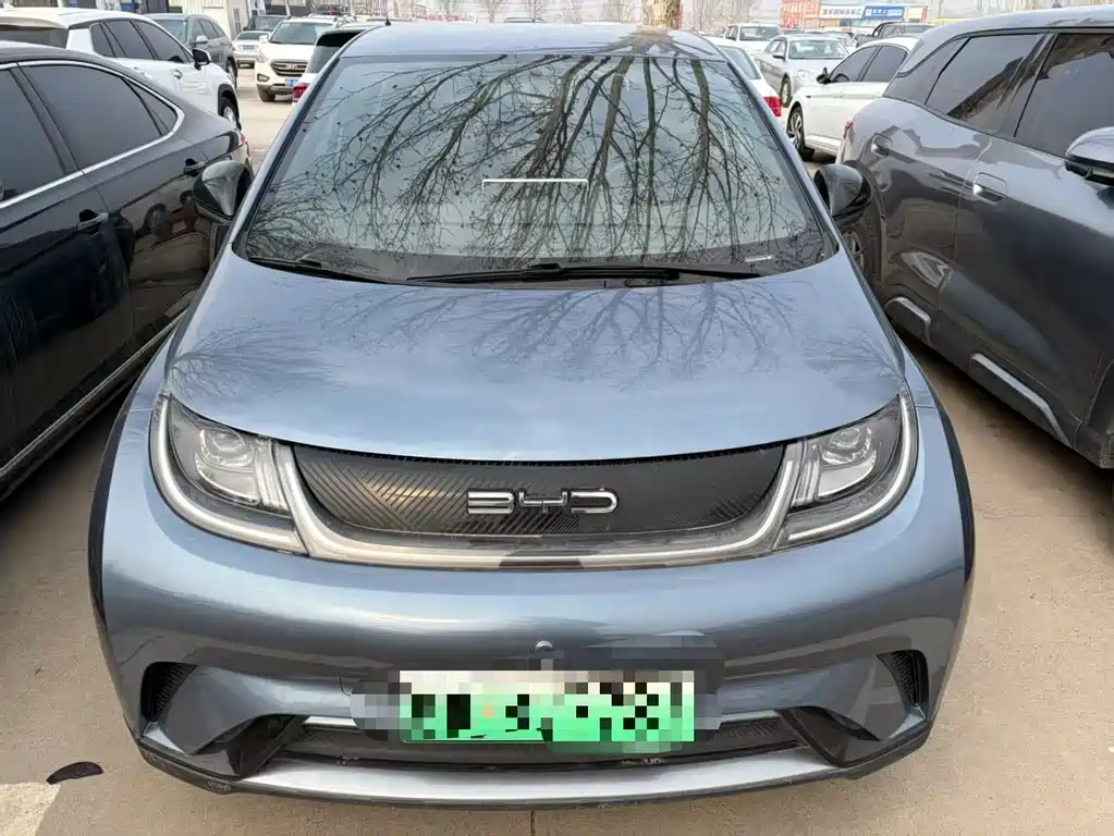 BYD Dolphin 2024