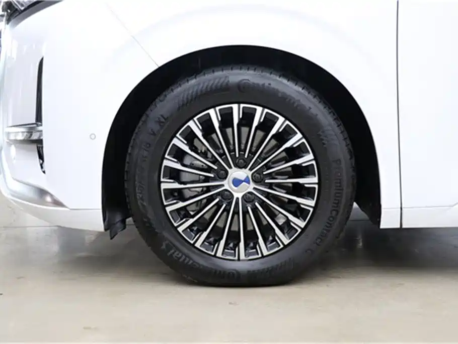 Denza D9 2024
