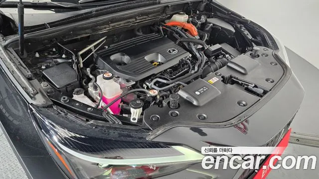 Lexus NX 2023